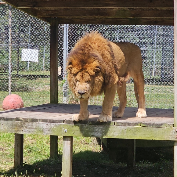 Meet your Posher, Tiffany - Picture 5 of 5